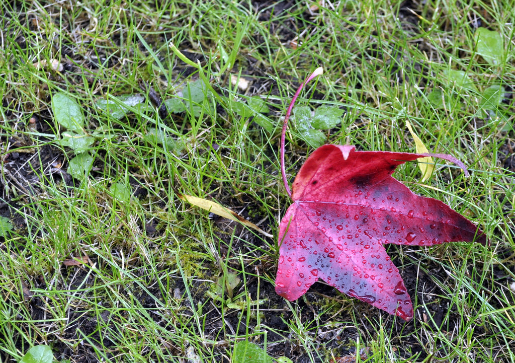 Keeping it cosy on a winter night.