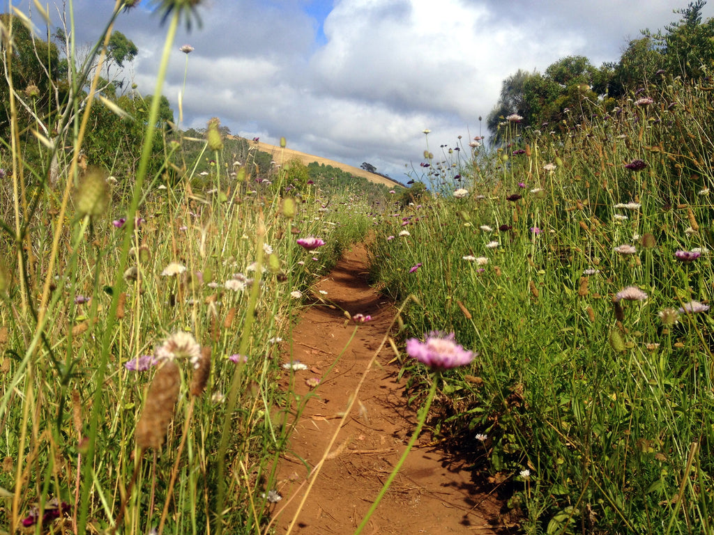 Sticks and stones won't break my bones!